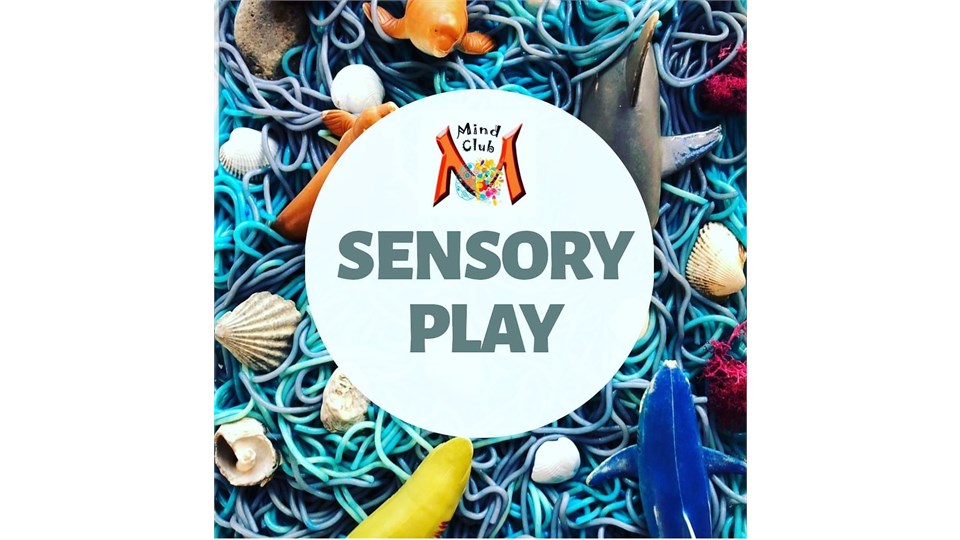 SENSORY PLAY 12-36 AY