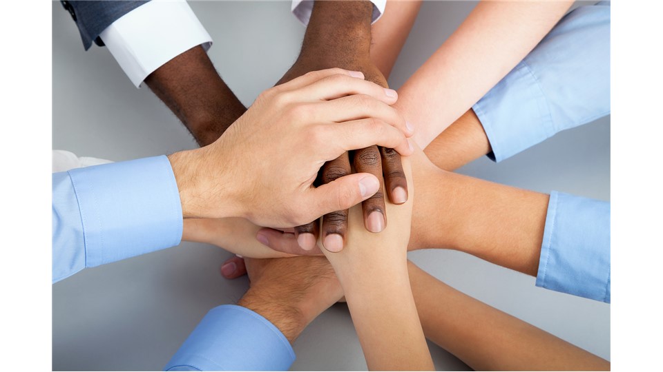 SYSTEMIC TEAM COACHING CERTIFICATE PROGRAM  