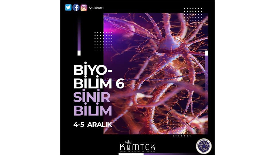 Biyobilim 6 : Sinirbilim