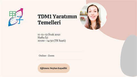 Neylan Kayadibi ile Titreşimlerle Dönüşüm® Metodu Yaratımın Temelleri (TDM1)