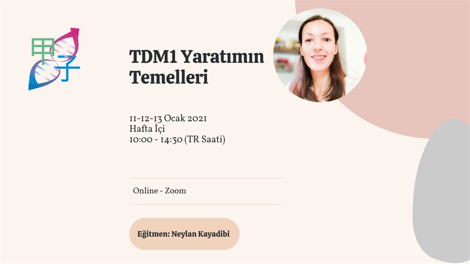 Neylan Kayadibi ile Titreşimlerle Dönüşüm® Metodu Yaratımın Temelleri (TDM1)