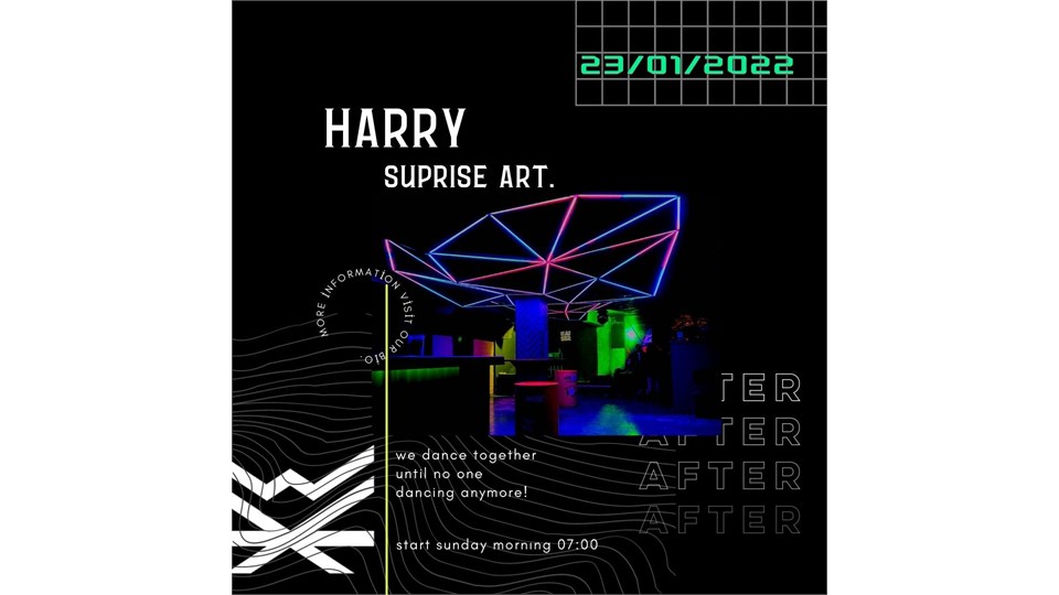 Harry & Suprise artist