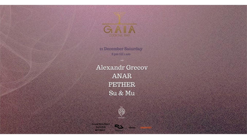 Owl / Gaia CoctailBar