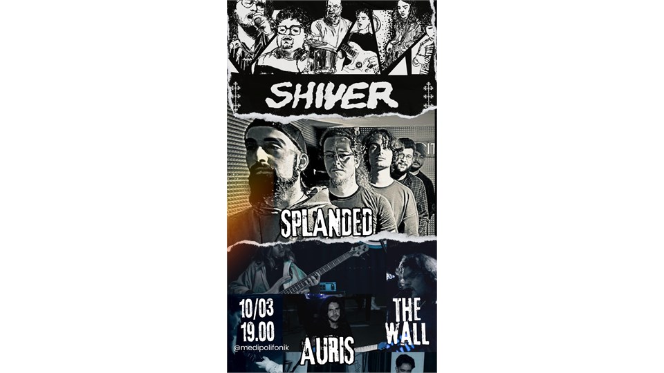 MEDİPOLİFONİK - SHIVER & SPLANDED & AURIS