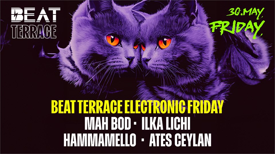 Beat Terrace Electronic Friday