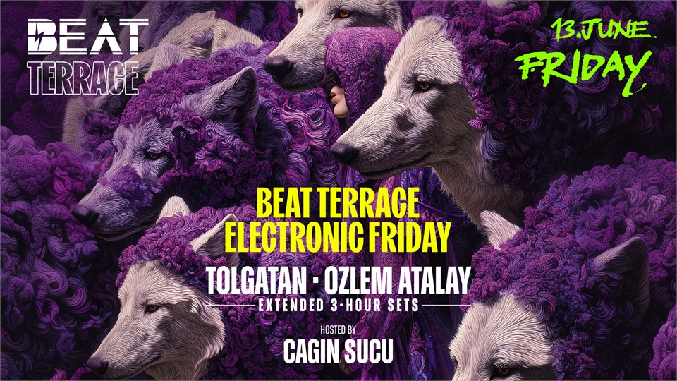 Beat Terrace Electronic Friday