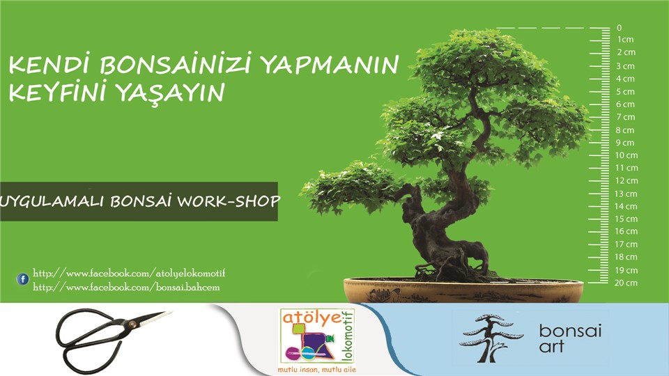 Minyatür Ağaç Dikimi / Bonsai Sanatı